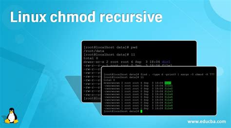 chmod recursive|linux .